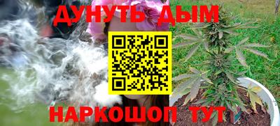 стафф Кандалакша