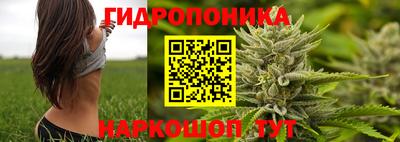 стафф Кандалакша