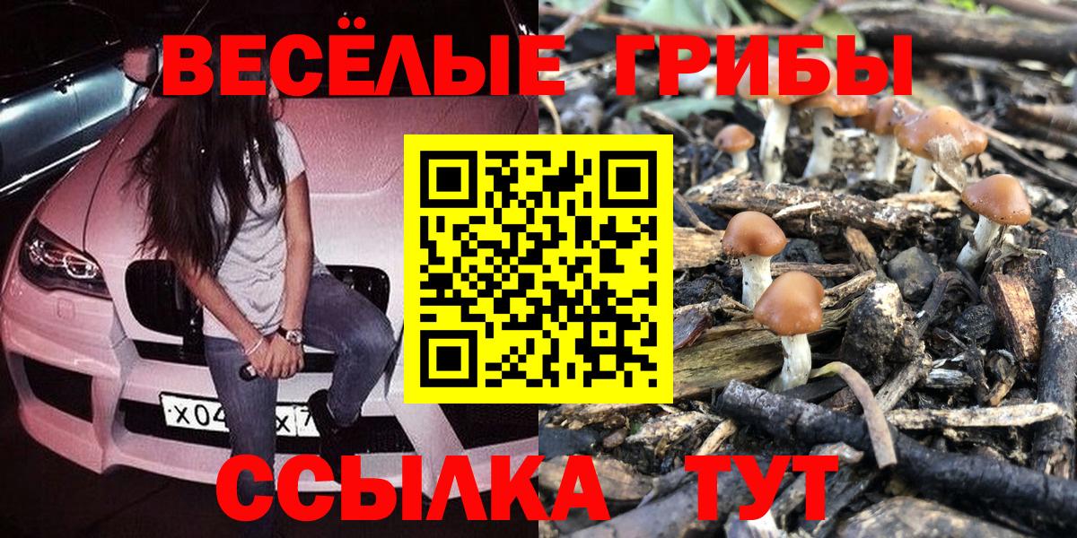 наркота  Галлюциногенные грибы мицелий  Вход с VPN  Курчалой 