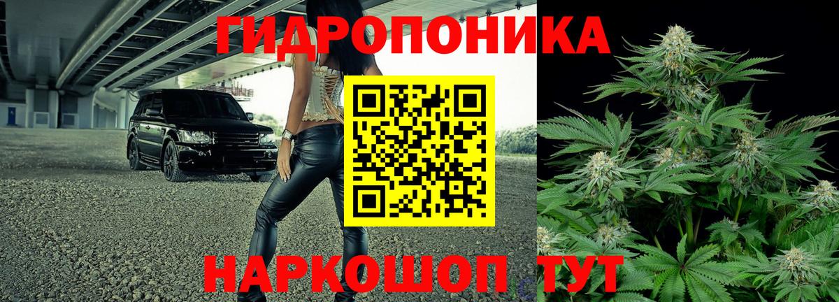 Бошки Шишки Bruce Banner  Бошки марихуана ГИДРОПОН  Курчалой  Вход с VPN 